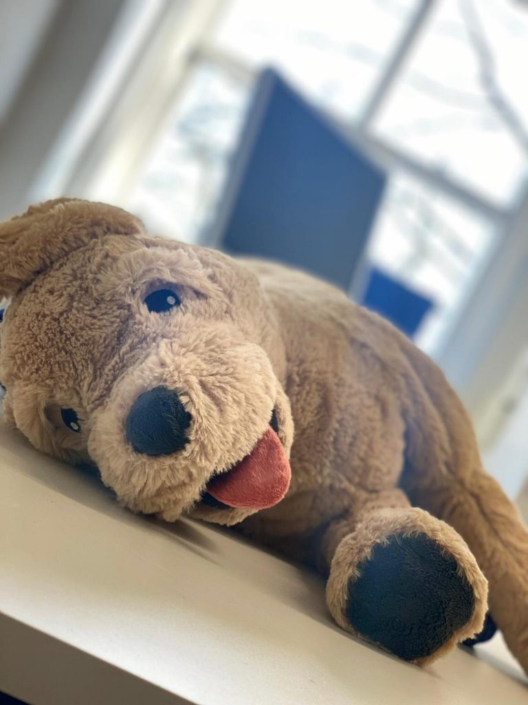 PETS: Das Clinical Skills Lab des Fachbereichs Veterinärmedizin der JLU
